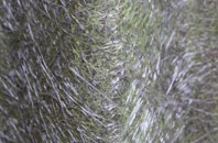 Hunmanby Moor fibreglass roof work